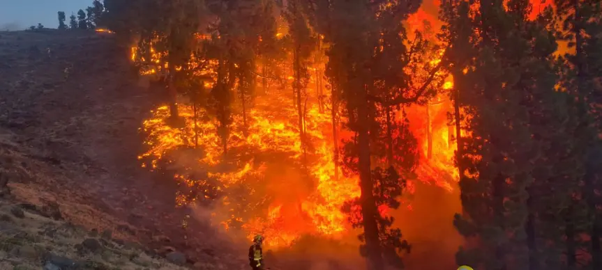 Хиляди хора бяха евакуирани заради пожар на остров Ла Палма (видео)