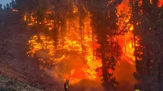 Хиляди хора бяха евакуирани заради пожар на остров Ла Палма (видео)