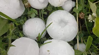 Порои и градушка удариха Смолянско, ледени късове с големина на яйце паднаха в района на Баните 