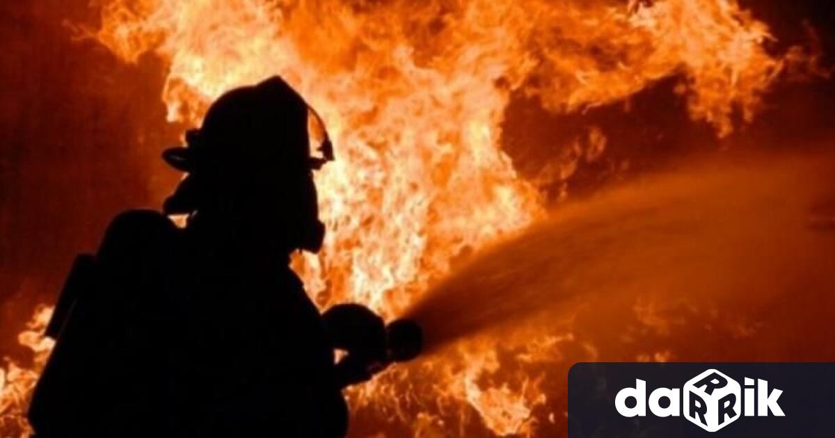 Множество локални огнища възобновили пожара в село Стрелково вчера В
