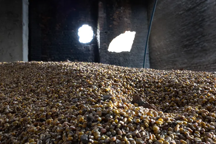Русия унищожи украински складове за зърно на река Дунав (видео) 