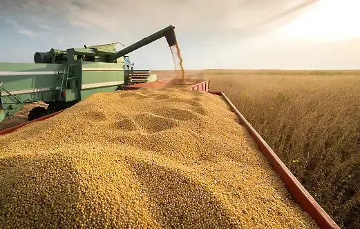 Министър Вътев: Трябва да се мисли за европейски зърнен баланс