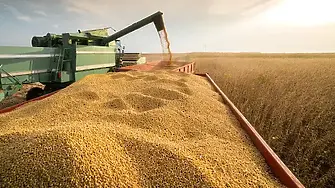 Министър Вътев: Трябва да се мисли за европейски зърнен баланс