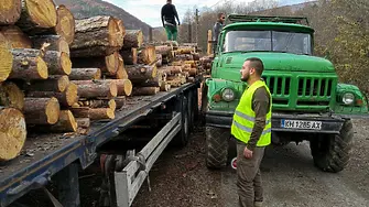 30 пространствени кубика дърва за огрев са конфискувани за първото полугодие в СЗДП