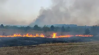 Помощ от 4 области за овладяване на пожарите чакат в Хасково