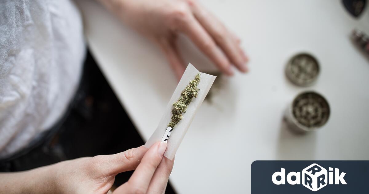 Албанският парламент одобри проектозакон за използването на канабиса за медицински