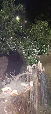 Пожари горяха във вилна зона и на „Батмиш”