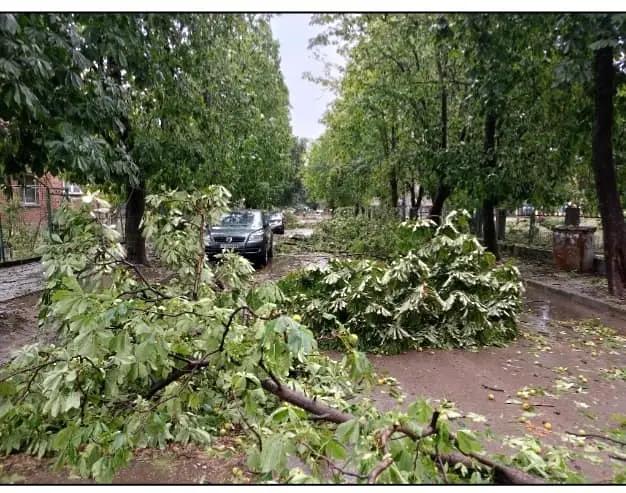 ”Ситуацията е плачевна”: Бури, вятър и градушки причиниха щети на няколко места в страната