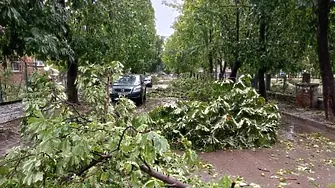 ”Ситуацията е плачевна”: Бури, вятър и градушки причиниха щети на няколко места в страната