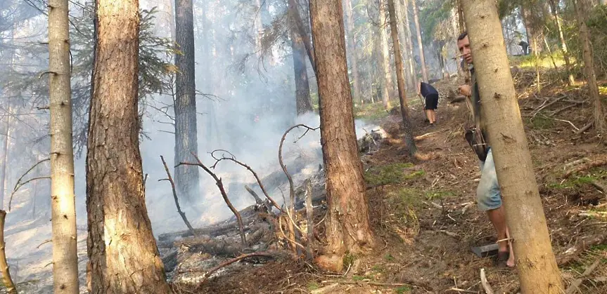 ​Областният управител : Големи благодарности към всички доброволци и институции, включили се в гасенето на пожара над селата Ресилово и Овчарци