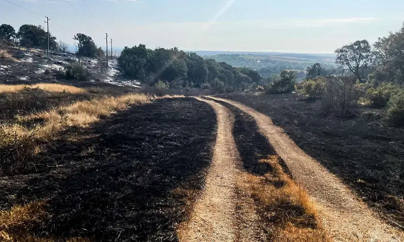 Овладян е пожарът в община Ивайловград