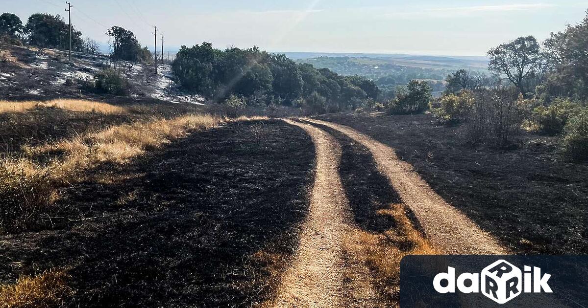 Овладян е големият пожар в община Ивайловград между селата Свирачи
