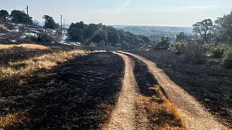 Овладян е пожарът в община Ивайловград