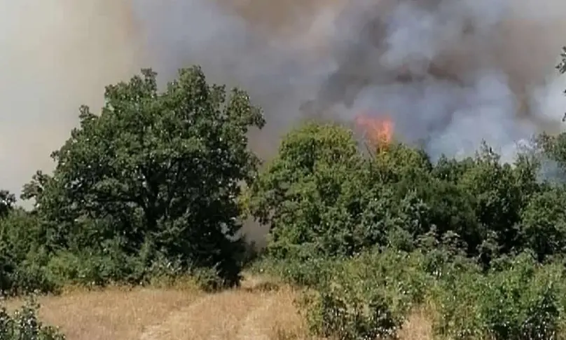 Бедствено положение заради пожар в община Ивайловград
