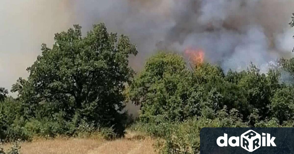 Бедствено положение заради голям пожар обяви кметът на община Ивайловград