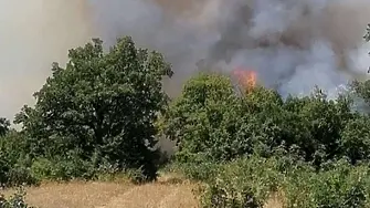 Бедствено положение заради пожар в община Ивайловград