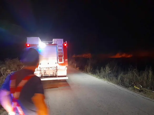 Пожарът, обхванал 3000 дка в Пазарджишко, се разпали отново