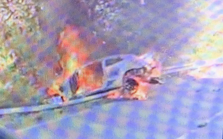 Верижна катастрофа на пътя Плевен – Ловеч, има пострадал