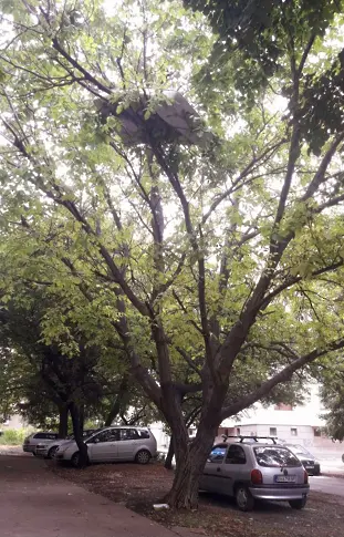 Изхвърлиха стар матрак от шестия етаж на жилищен блок в центъра на Плевен