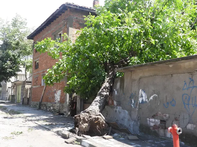 Буря изкорени дървета, отнесе покриви и счупи стълбове в Симеоновград (снимки)
