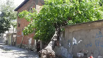 Буря изкорени дървета, отнесе покриви и счупи стълбове в Симеоновград (снимки)