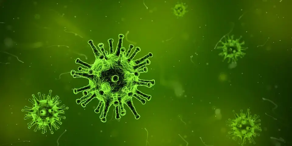 РЗИ-Добрич отчете резултатите от скрининговата кампания за хепатити Б и С