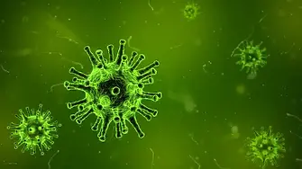 РЗИ-Добрич отчете резултатите от скрининговата кампания за хепатити Б и С