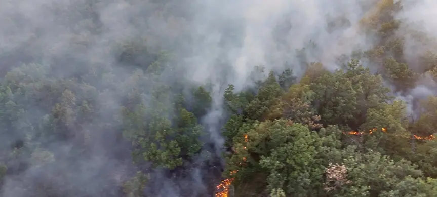 По земя и въздух продължава гасенето на горския пожар до язовир Пясъчник