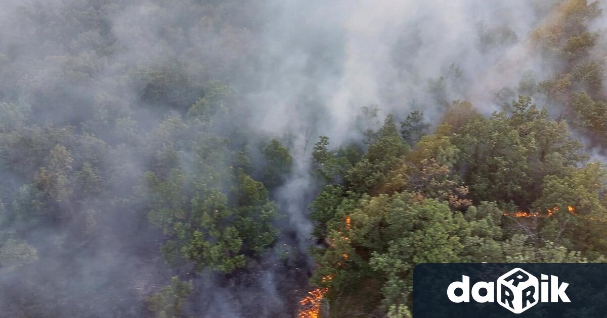 По земя и въздух продължава гасенето на горския пожар край