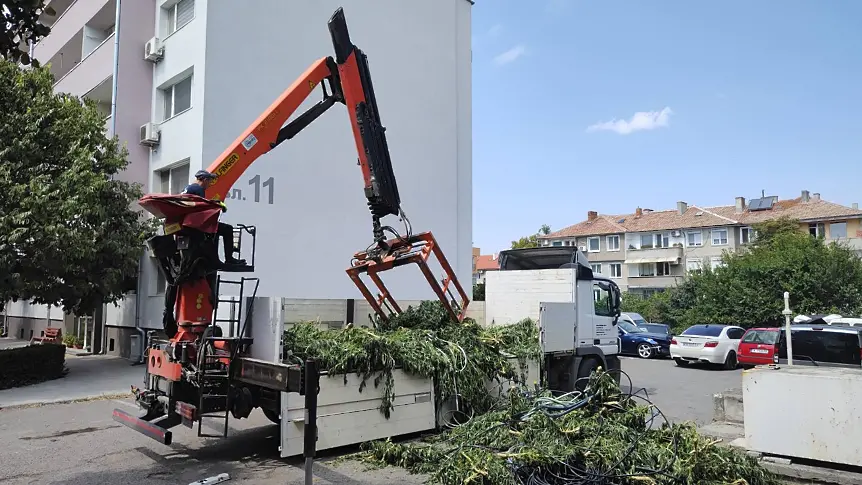 Откриха 4 дка нива с марихуана