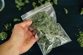 Полицията откри близо 8 грама марихуана при акция  в Монтана