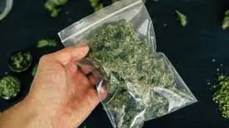 Полицията откри близо 8 грама марихуана при акция  в Монтана