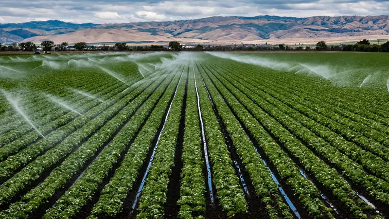 Земеделските стопани могат да кандидатстват за помощ за напояване 
