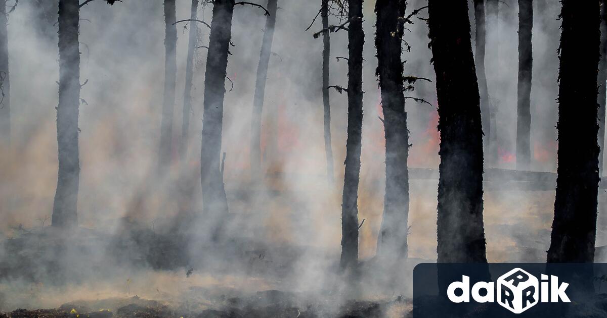 Бедствено положениeе обявено на територията на община Свиленград Огънят който възникна