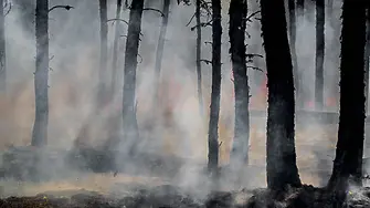 Бедствено положение в Свиленград, огънят се разраства