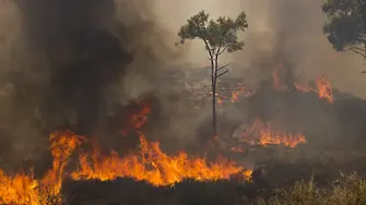 Пожарите в Гърция – резултат на климатичните промени или и на още нещо