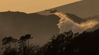 Над 600 пожарникари се борят с три горски пожара в Гърция