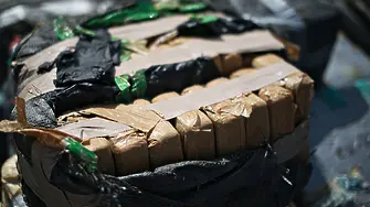 Испанската полиция иззе рекордните 9,5 тона кокаин, скрит в контейнер с банани