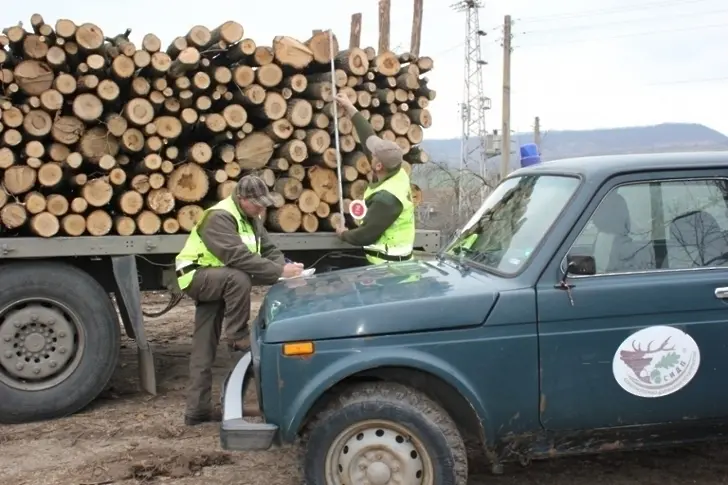Заловиха човек от монтанско село, продал 4 кубика незаконни дърва