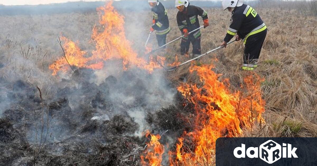 Запалени сухи треви станали причина за пожар в село Поляна