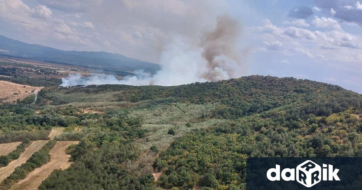 Пожар избухна в борова гора в землището на село Михилци,