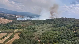 Пожар избухна в борова гора в землището на Михилци