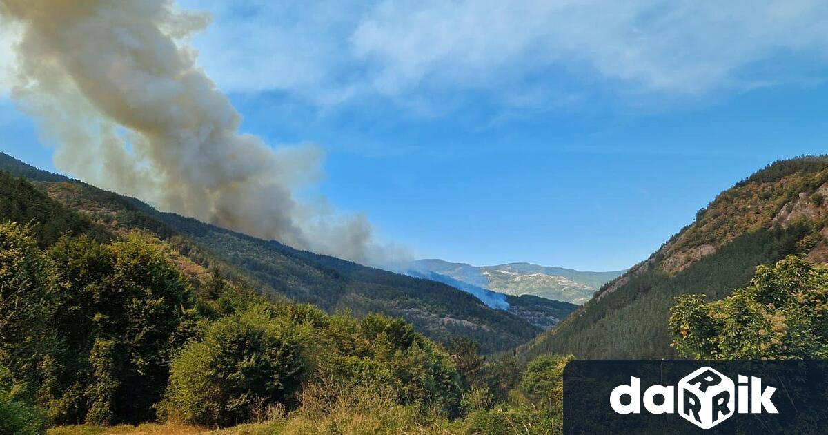 Вече четвърти ден продължава борбата с пожара край Чепеларе като