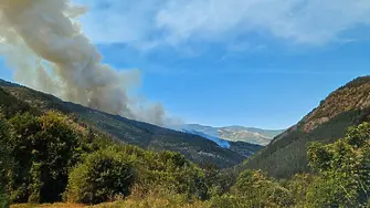 Четвърти ден продължава борбата с пожара над Хвойна 