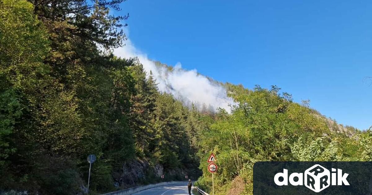 Голям пожар гори в Родопите, искат помощ за гасене с