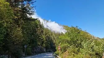 Голям пожар гори в Родопите, искат помощ за гасене с  хеликоптер,