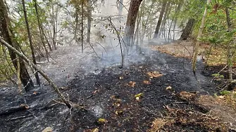 Обявиха частично бедствено положение заради пожарите край Чепеларе 