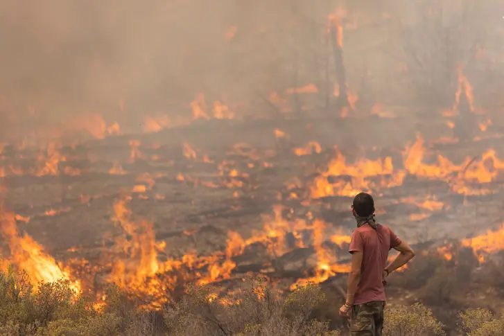 Пожарите в Гърция – резултат на климатичните промени или и на още нещо