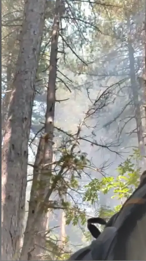 Леко задимяване над Асеновград заради горските пожари