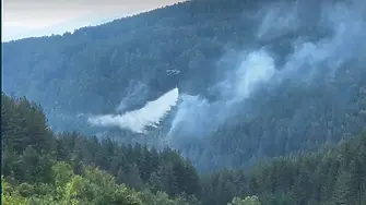 Над 1500 декара  борова гора са засегнати при пожара в Родопите 